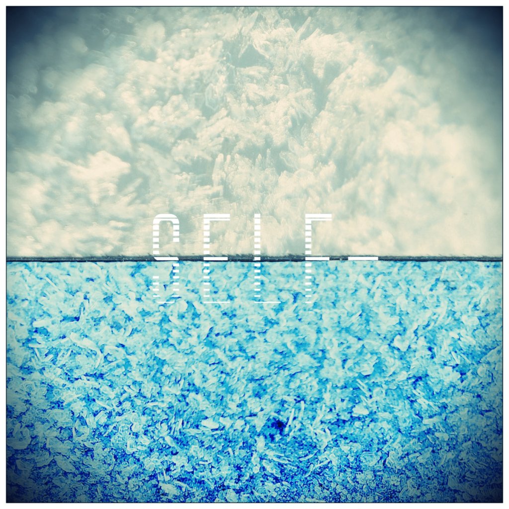 The cover of SELF- a collaboration by Exit Chamber and Ed Herbers