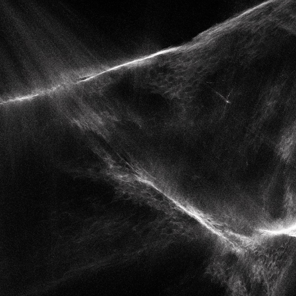 Final Light – Final Light