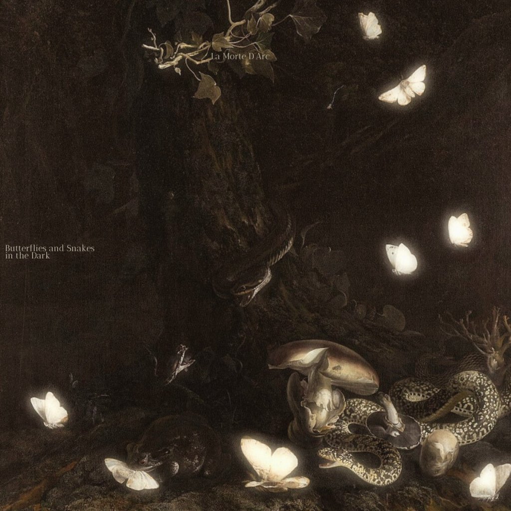 La Morte D’Arc – Butterflies and Snakes in the&nbsp;Dark