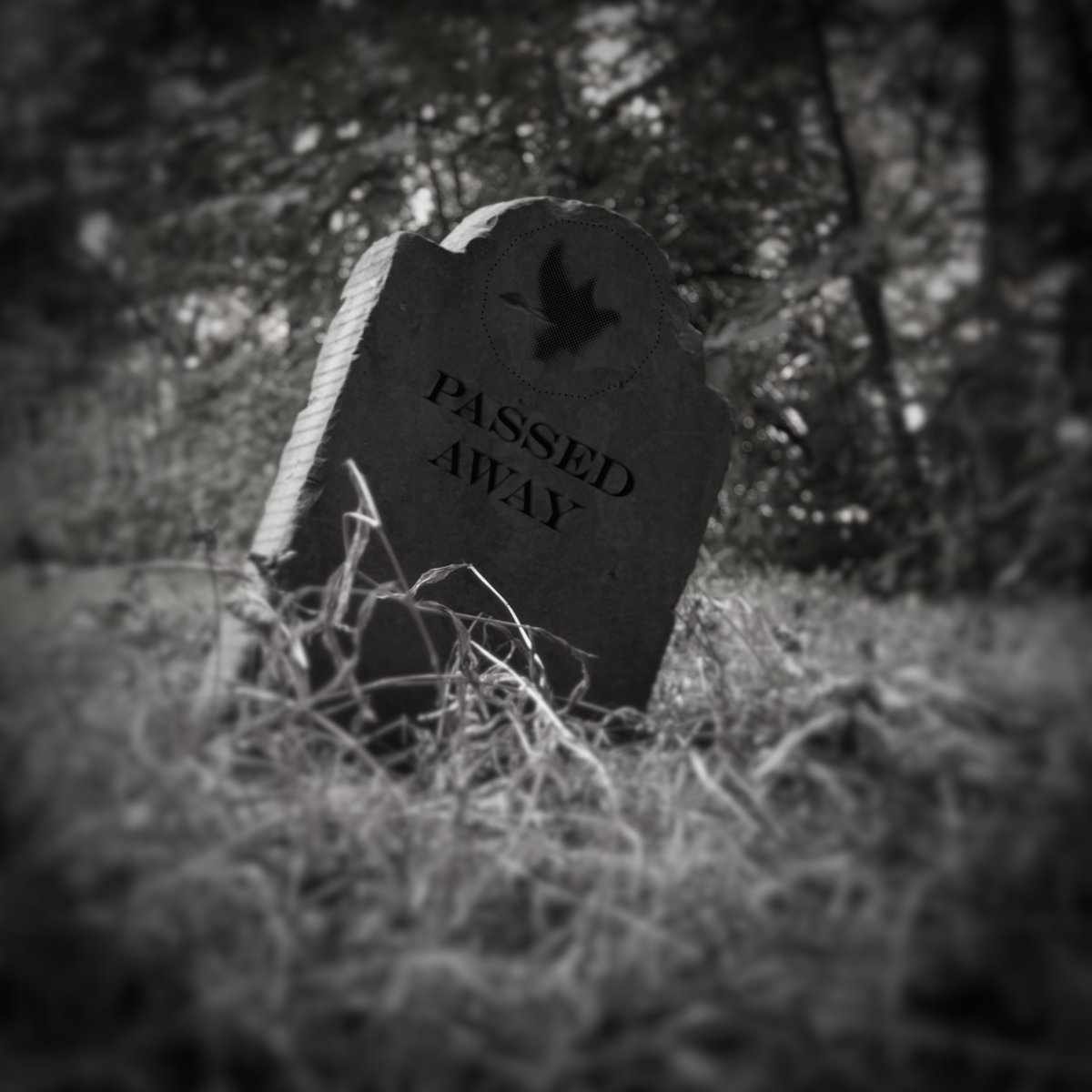 Synaesthesia Sunday #005