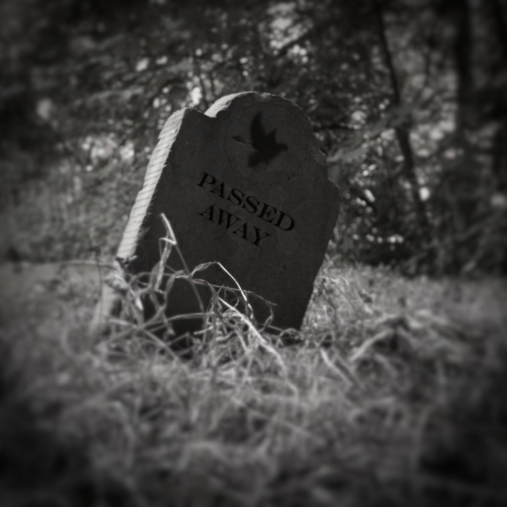 Synaesthesia Sunday #005