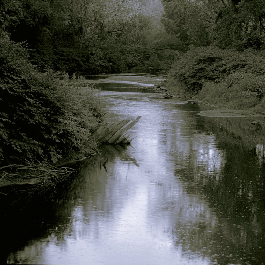 David Aimone –&nbsp;Meadowlands