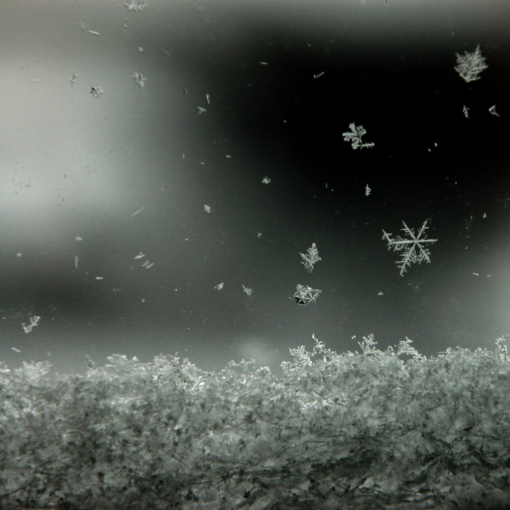 Ed Herbers - Season Cycle: Winter