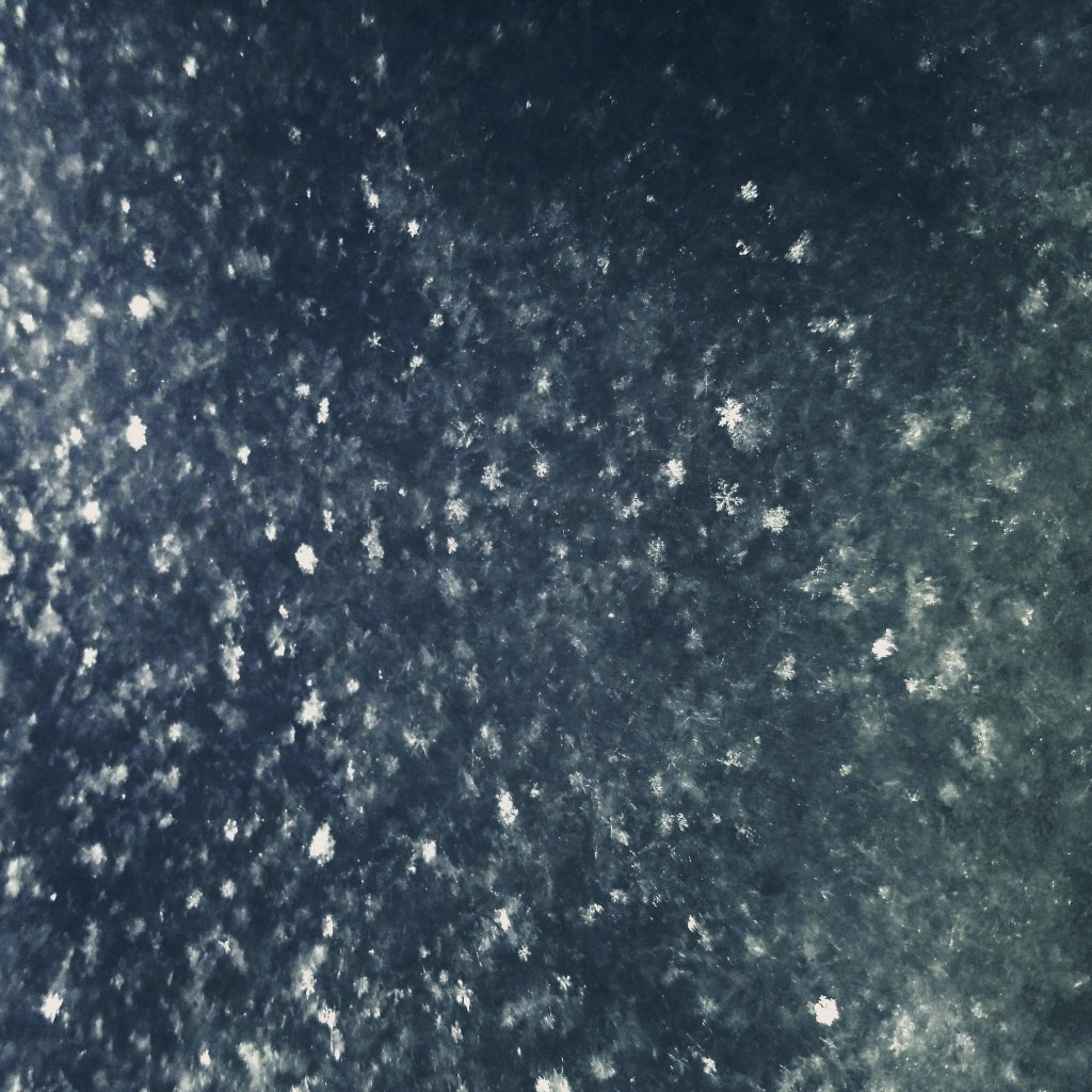 Ed Herbers - Season Cycle: Winter