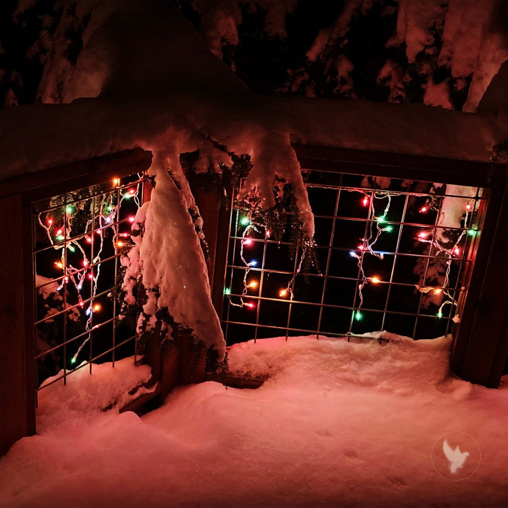 The Ghost of Christmas&nbsp;Passed